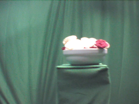 90 Degrees _ Picture 9 _ White Ceramic Bowl Filled with Roses.png